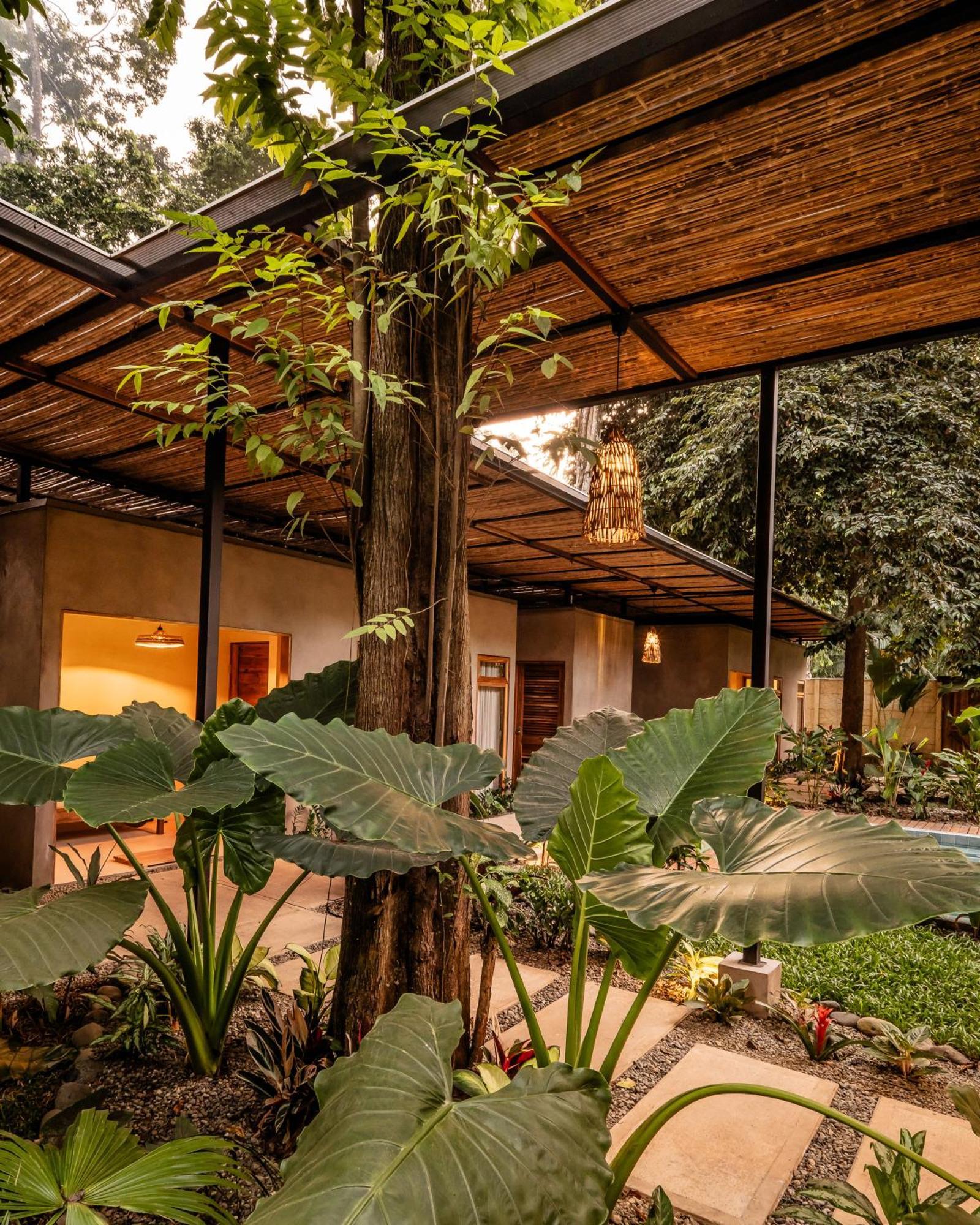 La Bonita Lodge Puerto Viejo de Talamanca 外观 照片